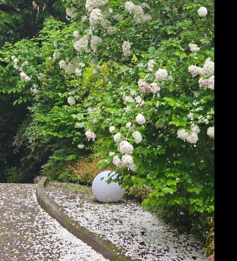 L'Ortensia Della Villa Isabella, Camera Con Vista Lago, Balcone Sul Parco E Bagno Esclusivo All'Esterno Della Camera Stresa Exteriör bild